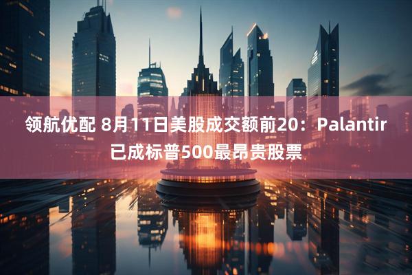 领航优配 8月11日美股成交额前20：Palantir已成标普500最昂贵股票