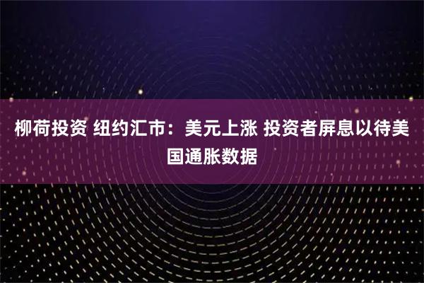 柳荷投资 纽约汇市：美元上涨 投资者屏息以待美国通胀数据